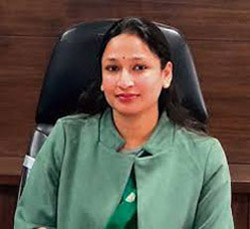 District Magistrate bans public display of weapons